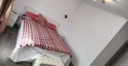 Vanzare casa cu Spatiu comercial in inima Bacaului