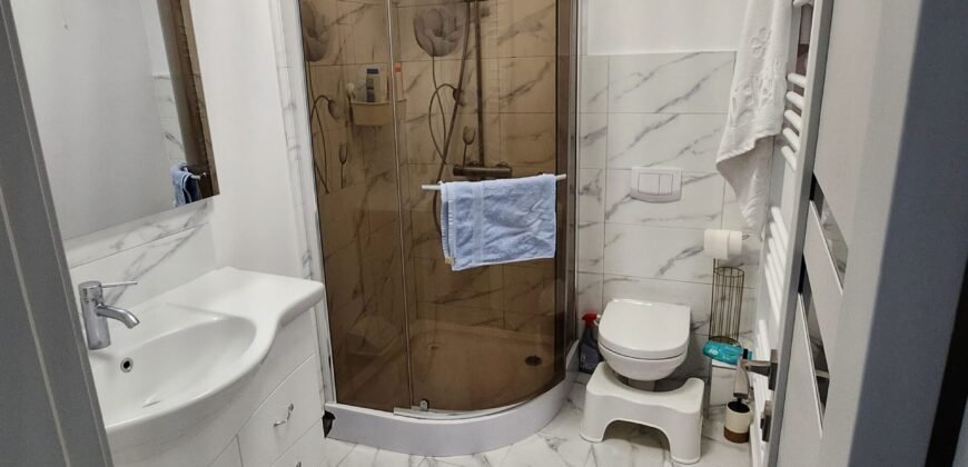 Vanzare casa cu Spatiu comercial in inima Bacaului