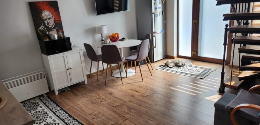 Vanzare casa cu Spatiu comercial in inima Bacaului