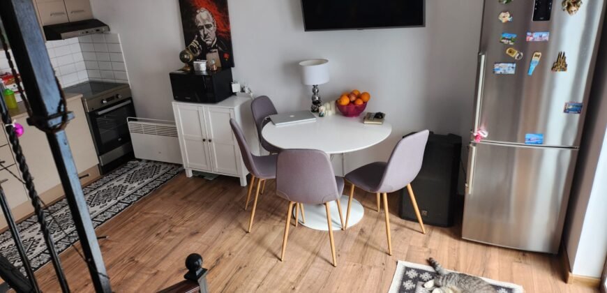 Vanzare casa cu Spatiu comercial in inima Bacaului