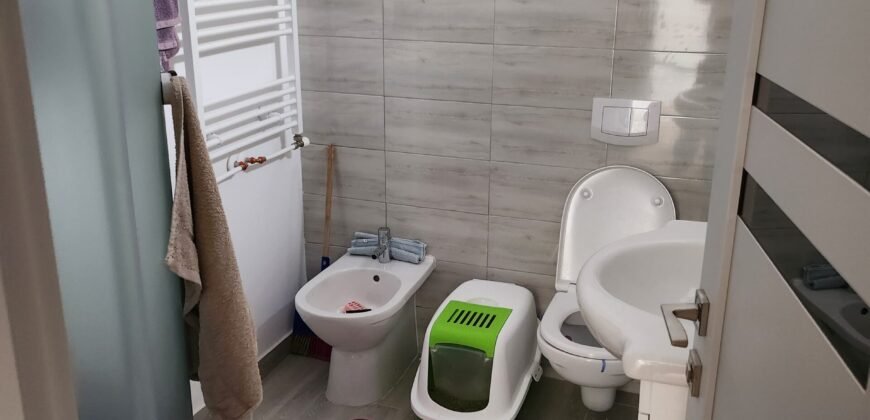 Vanzare casa cu Spatiu comercial in inima Bacaului