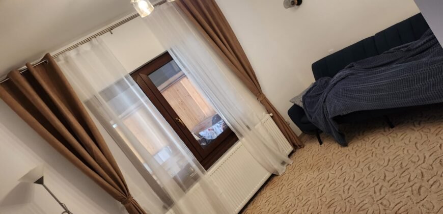 Vanzare casa cu Spatiu comercial in inima Bacaului