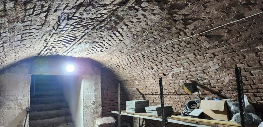 Vanzare casa cu Spatiu comercial in inima Bacaului