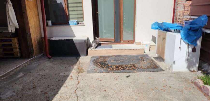 Vanzare casa cu Spatiu comercial in inima Bacaului