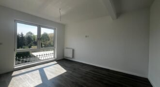 Casa/duplex de vanzare Calea Moinesti Bacau