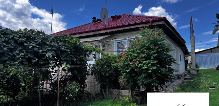 Casa Batraneasca de vanzare in Odobesti