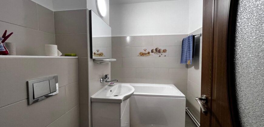 Apartament cu 2 camere central de închiriat